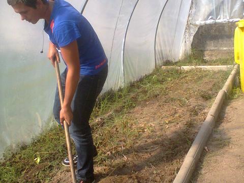 EBSCC Horta Bio (Estufa) - limpeza e preparação do solo